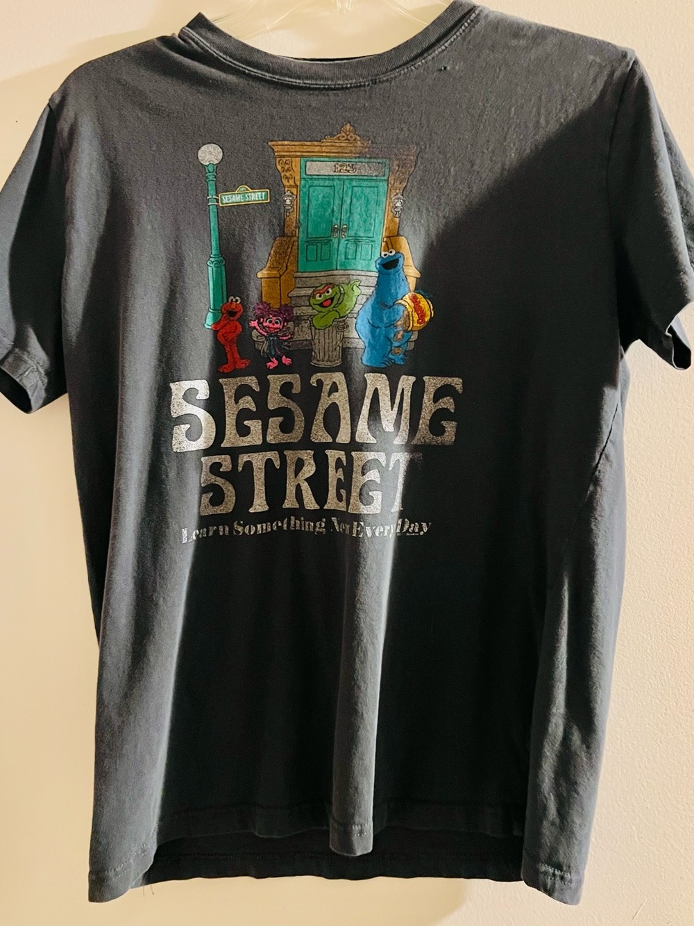 Sesame Street Gray Graphic Print with Blue, Green, Red Accents M
